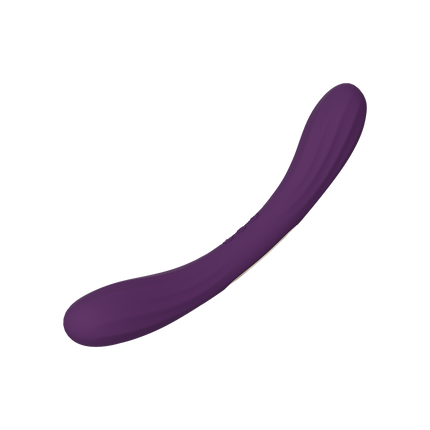 LELO - Boomerang - Double-Sided Vibrator - Dual Motor - Purple