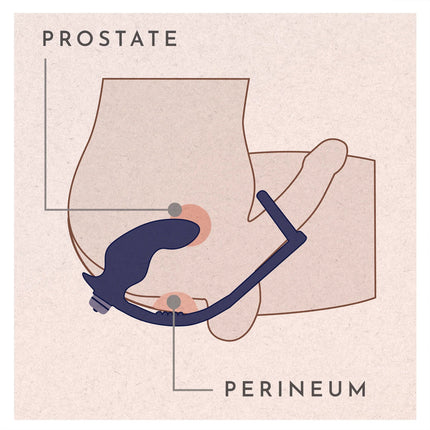 Rocks-Off - Nova Zenturian - Prostaatplug met penis- en testikelringen - Blauw