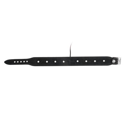 Rimba - Lederen Bipolaire Shock Halsband - Zwart-Erotiekvoordeel.nl