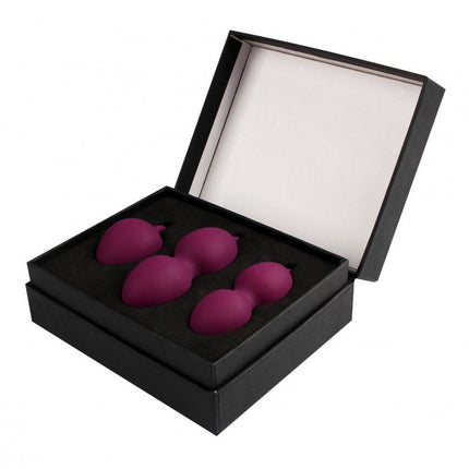 Svakom Nova Kegel Balls - Paars - Erotiekvoordeel.nl